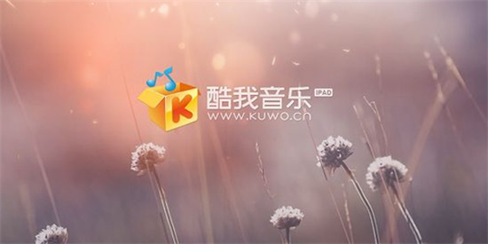 酷我音乐下载手机版:一款享受多样音乐精彩的软件应用