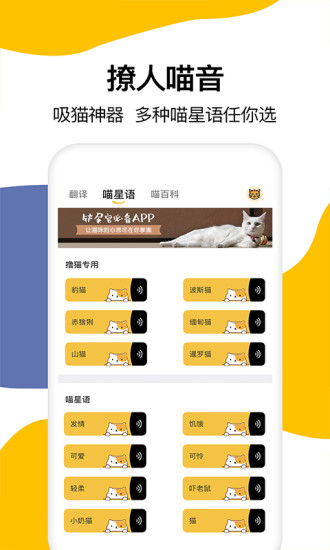 猫语翻译app