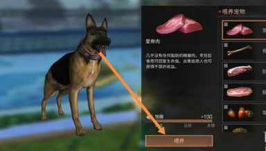 明日之后怎么喂宠物 喂食方法流程攻略
