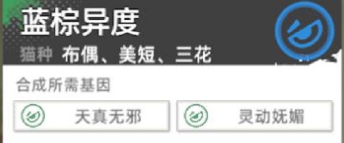 猫之城主题猫怎么获得 主题猫获取攻略