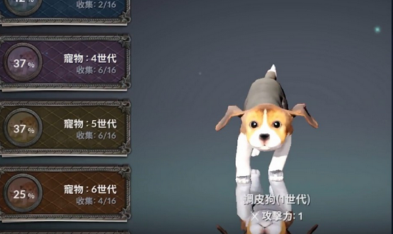 黑色沙漠手游调皮狗观察行动怎么做 完成流程分享